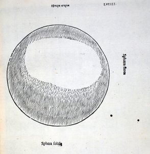 Sphera solida, illustration from 